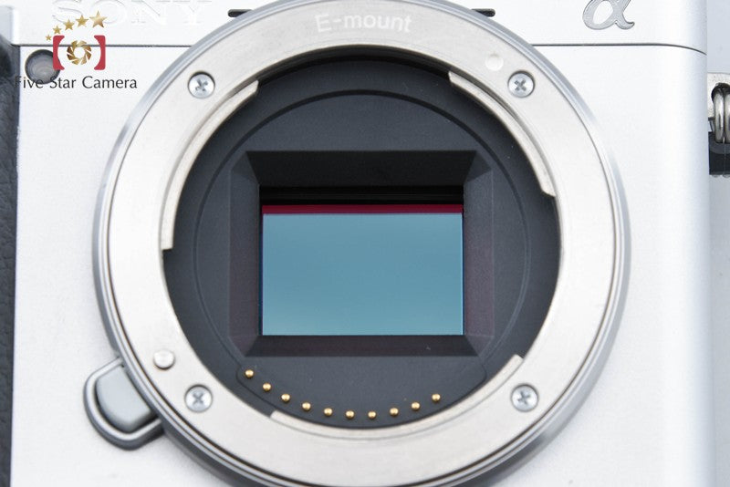 Sony Alpha α6400 ILCE-6400 Silver 24.2 MP 16-50 Lens [Multiple Languages]