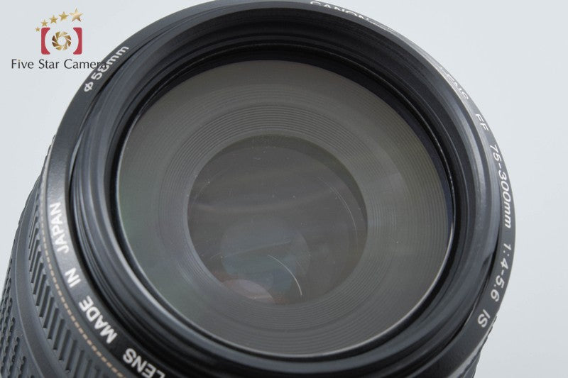 Canon EF 75-300mm f/4-5.6 IS USM