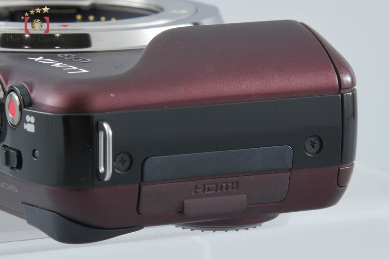 Panasonic LUMIX DMC-GF3 Brown Mirrorless Digital Camera [Japanese Language Only]