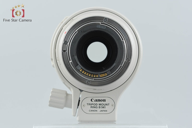 Canon EF 100-400mm f/4.5-5.6 L IS USM