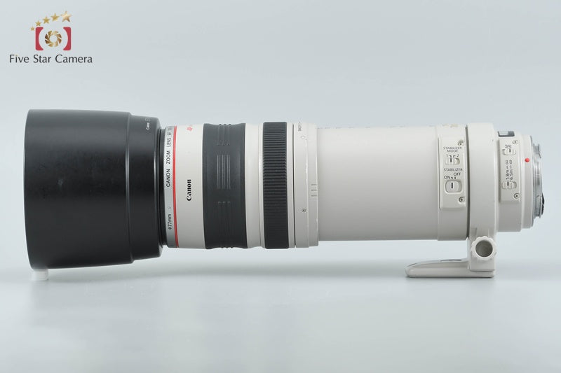 Canon EF 100-400mm f/4.5-5.6 L IS USM