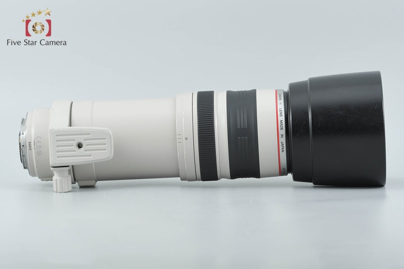 Canon EF 100-400mm f/4.5-5.6 L IS USM
