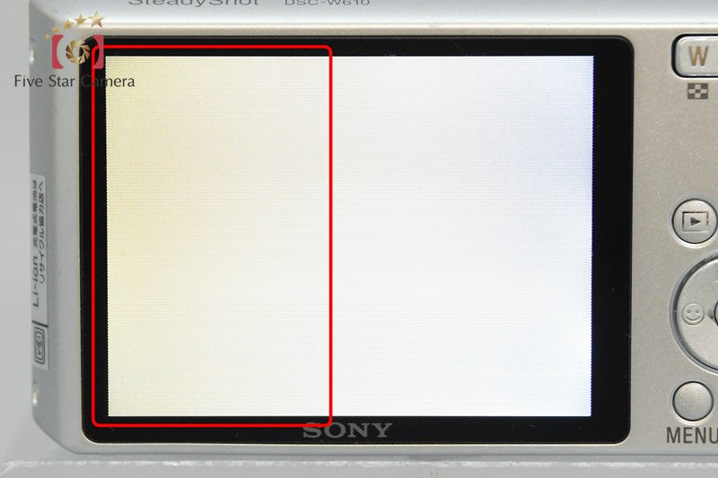 Sony Cyber-Shot DSC-W610 Silver 14.1 MP Digital Camera [Japanese Language Only]