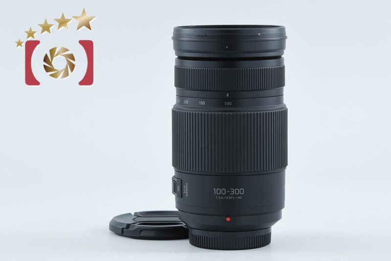 Panasonic LUMIX G VARIO 100-300mm f/4-5.6 POWER O.I.S. H-FSA100300