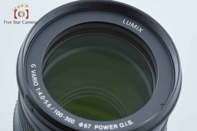 Panasonic LUMIX G VARIO 100-300mm f/4-5.6 POWER O.I.S. H-FSA100300