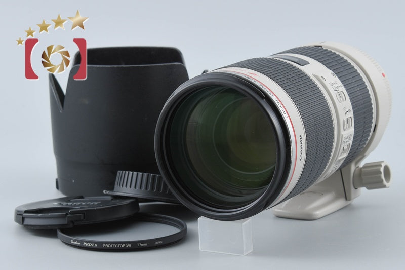 Canon EF 70-200mm f/2.8 L IS II USM