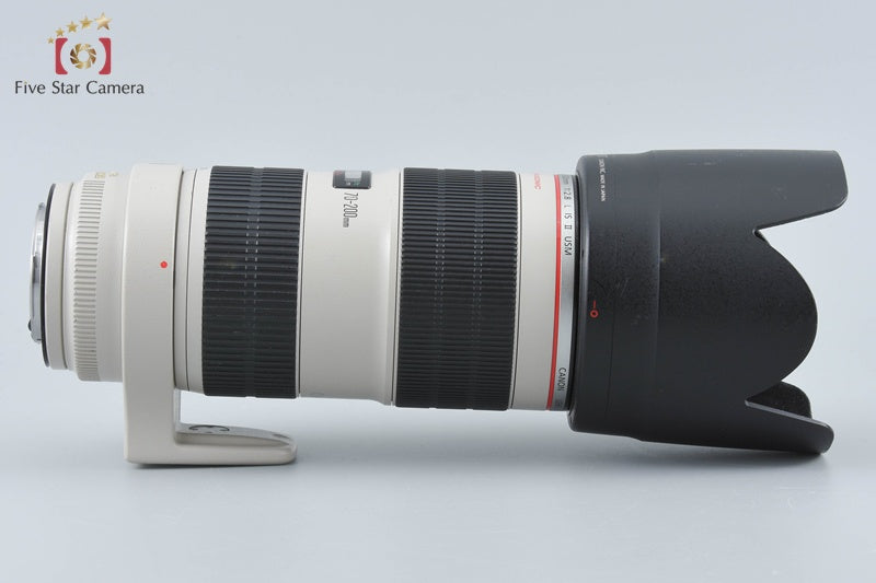 Canon EF 70-200mm f/2.8 L IS II USM
