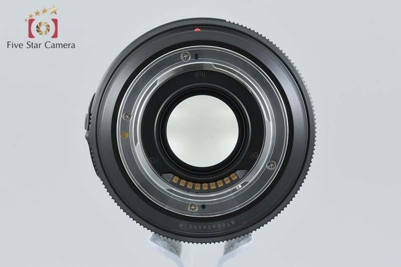 Panasonic LUMIX LEICA D VARIO-ELMARIT 14-50mm f/2.8-3.5 ASPH. L-ES014050