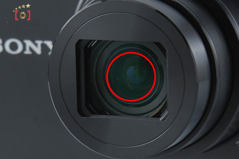Sony Cyber-Shot DSC-WX350 Black 18.2 MP Digital Camera [Multiple Languages]