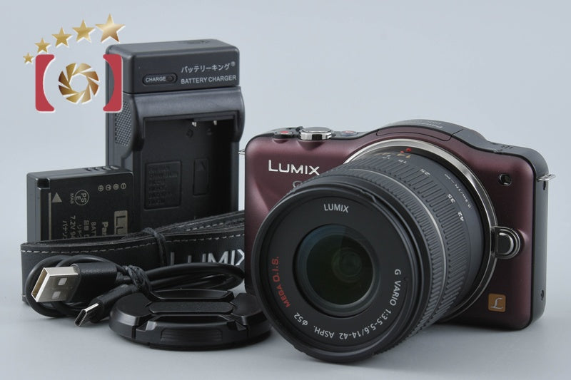 Panasonic LUMIX DMC-GF3 Brown 12.1 MP 14-42 Lens [Japanese Language Only]