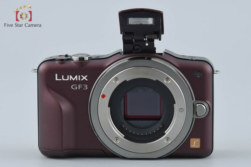 Panasonic LUMIX DMC-GF3 Brown 12.1 MP 14-42 Lens [Japanese Language Only]