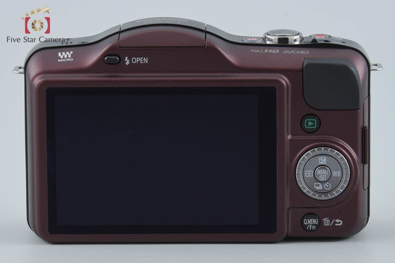 Panasonic LUMIX DMC-GF3 Brown 12.1 MP 14-42 Lens [Japanese Language Only]
