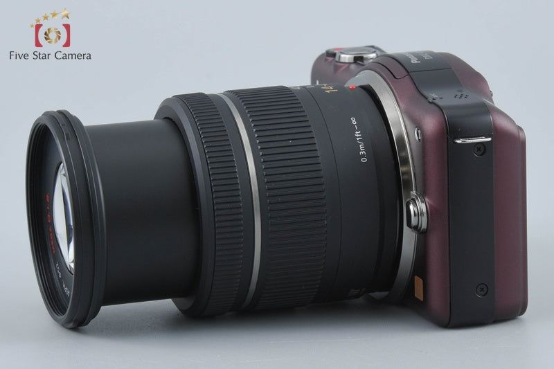 Panasonic LUMIX DMC-GF3 Brown 12.1 MP 14-42 Lens [Japanese Language Only]