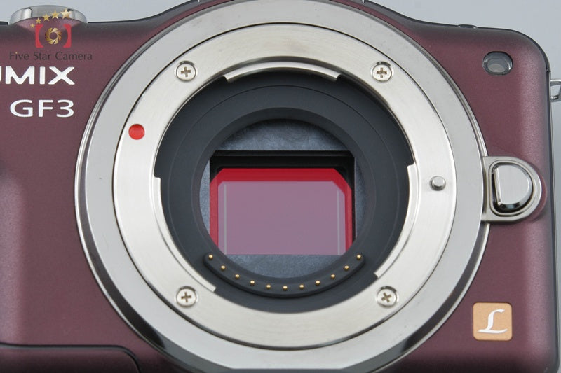 Panasonic LUMIX DMC-GF3 Brown 12.1 MP 14-42 Lens [Japanese Language Only]