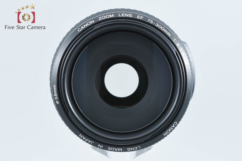 Canon EF 75-300mm f/4-5.6 IS USM