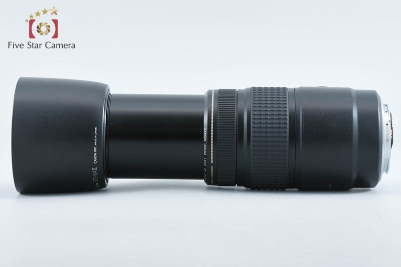 Canon EF 75-300mm f/4-5.6 IS USM