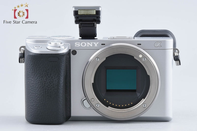Sony Alpha α6400 ILCE-6400 Silver 16-50 55-210 Lenses [Multiple Languages]
