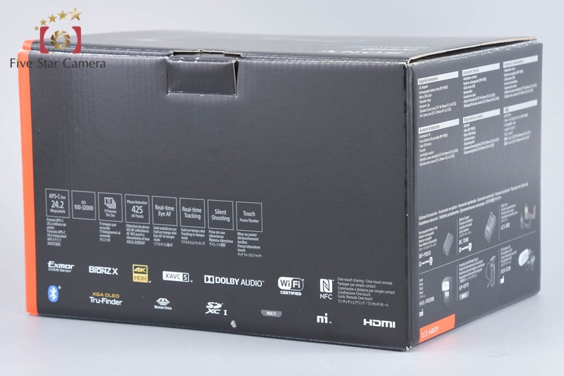 Sony Alpha α6400 ILCE-6400 Silver 16-50 55-210 Lenses [Multiple Languages]