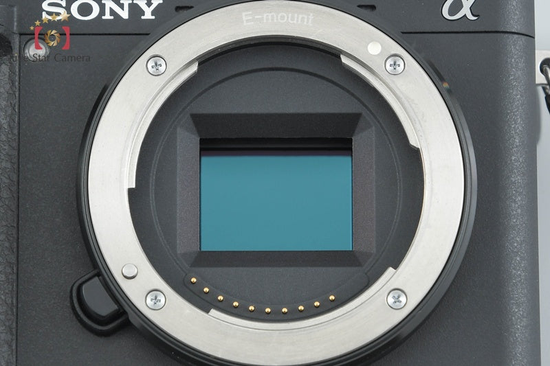 "Count 575" Sony Alpha α6300 ILCE-6300 24.2 MP 16-50 Lens [Multiple Languages]