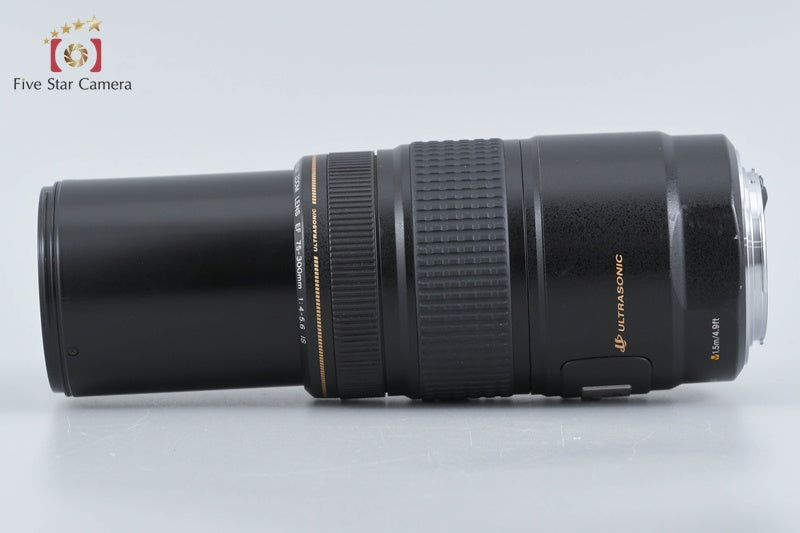 Canon EF 75-300mm f/4-5.6 IS USM