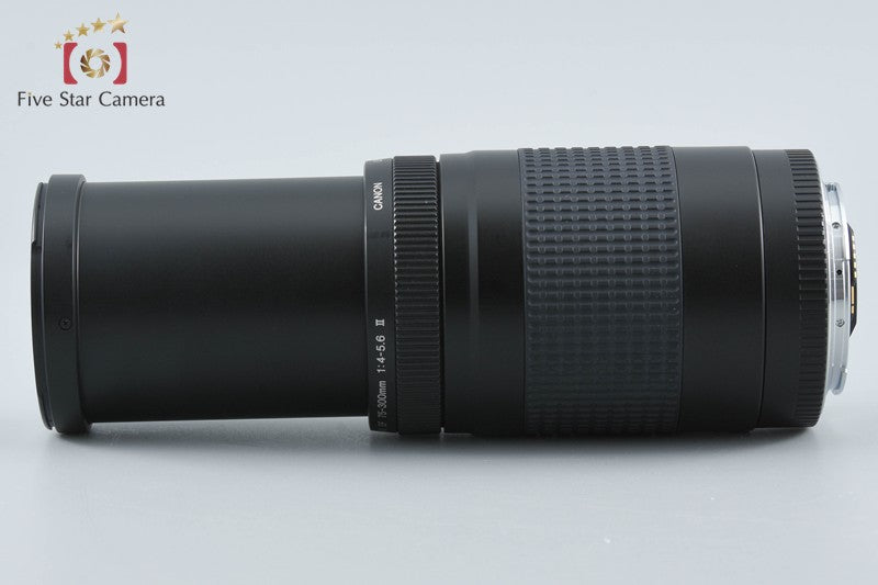 Canon EF 75-300mm f/4-5.6 II