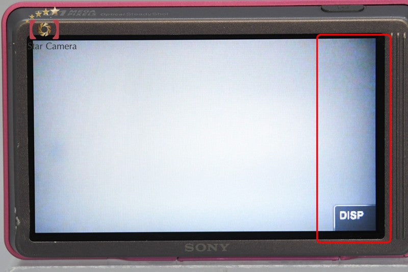 Sony Cyber-Shot DSC-T700 Pink 10.1 MP Digital Camera [Japanese Language Only]