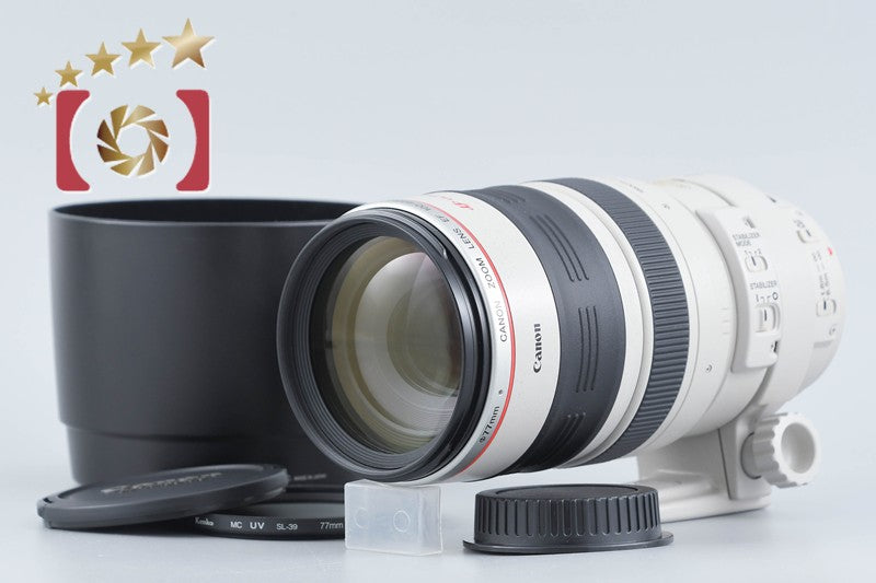 Canon EF 100-400mm f/4.5-5.6 L IS USM