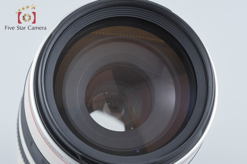Canon EF 100-400mm f/4.5-5.6 L IS USM