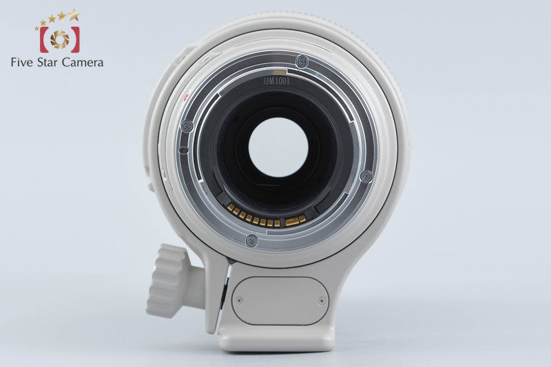 Canon EF 100-400mm f/4.5-5.6 L IS USM