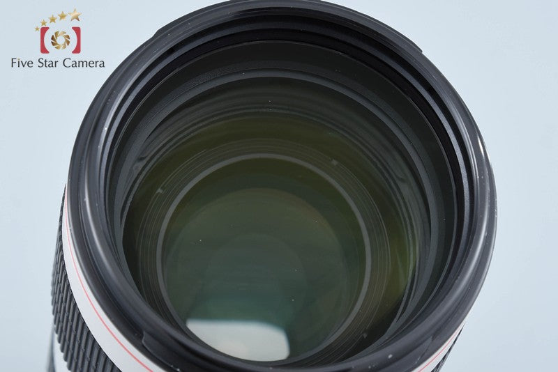 Canon EF 70-200mm f/2.8 L IS III USM