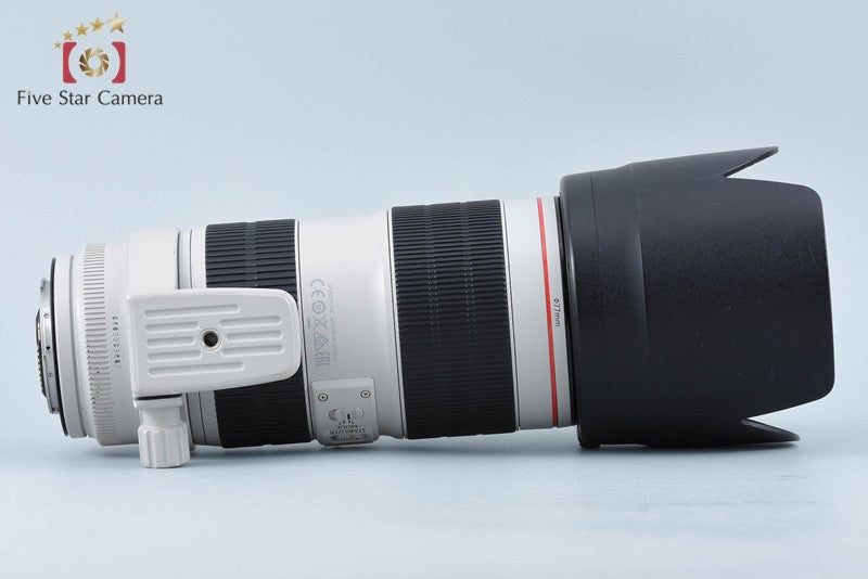 Canon EF 70-200mm f/2.8 L IS III USM
