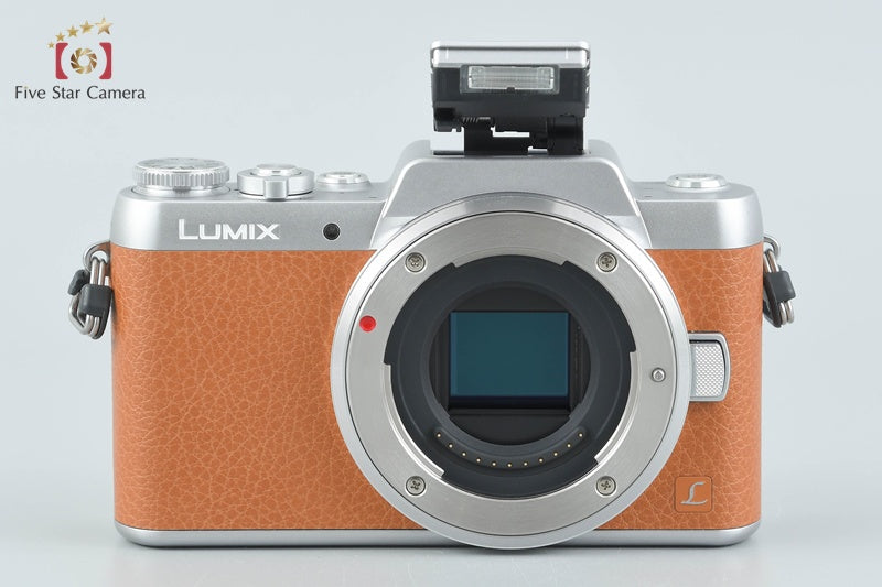 Panasonic LUMIX DMC-GF7 Brown 16.0 MP 12-32 35-100 Lens [Japanese Language Only]
