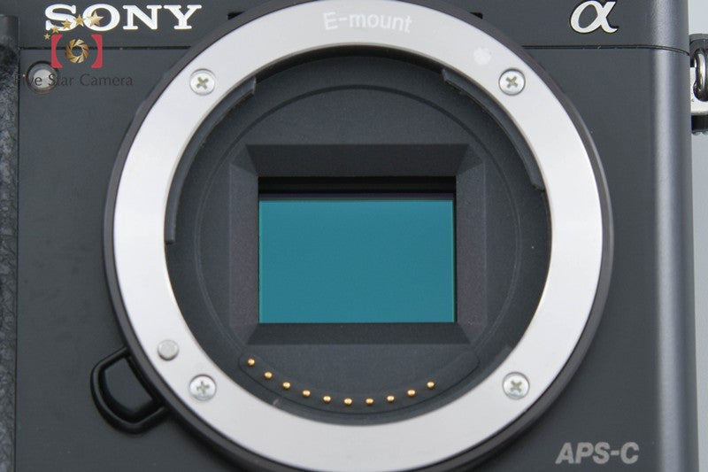 Sony α6000 ILCE-6000 Black 24.3MP Digital Camera [Multiple Languages] from Japan