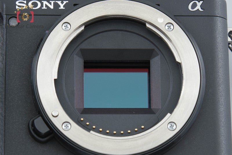 Sony α6400 ILCE-6400 Black 24.2MP Digital Camera [Multiple Languages] from Japan