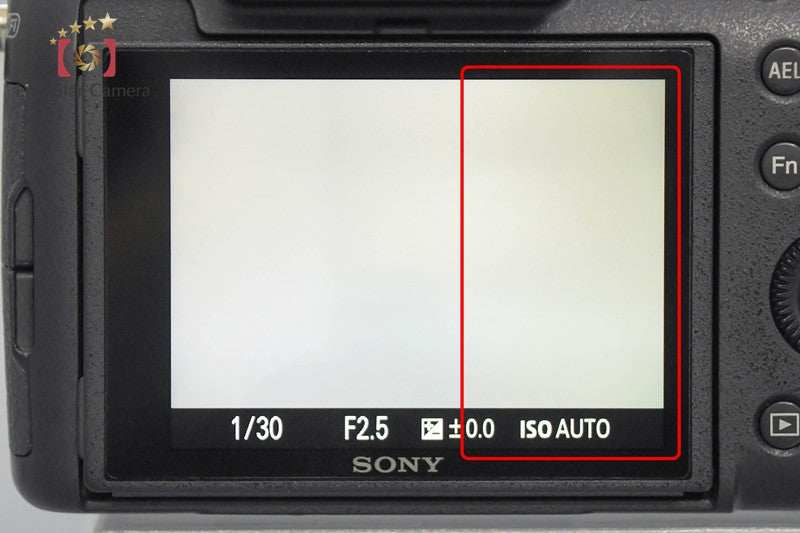 Sony Cyber-Shot DSC-RX10M4 20.1MP Digital Camera [Multiple Languages] from Japan