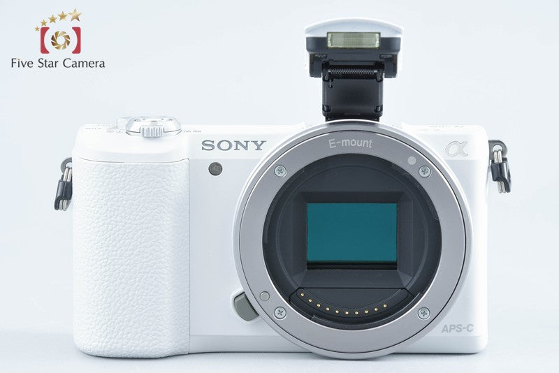 Sony α5100 ILCE-5100 White 16-50 55-210 Lenses [Multiple Languages] from Japan