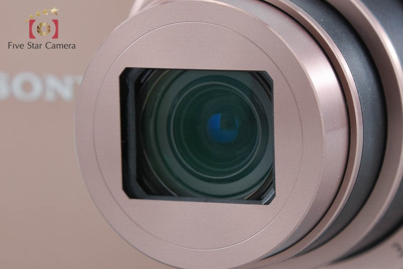 SONY Cyber-shot DSC-WX300 Brown Digital Camera [Multiple Languages] from Japan