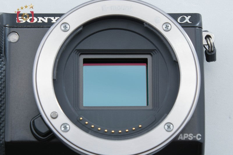Sony α NEX-5T Black 16.1 MP 16-50 55-210 Lenses [Multiple Languages] from Japan