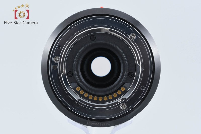 Panasonic LUMIX G VARIO 45-150mm f/4-5.6 ASPH. MEGA O.I.S. H-FS45150 from Japan