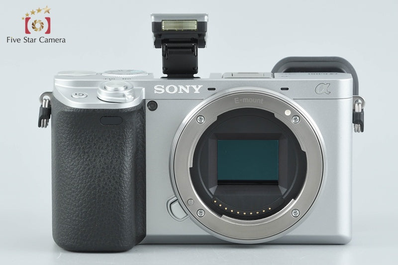 Sony α6400 ILCE-6400 Silver 16-50 55-210 Lenses [Multiple Languages] from Japan