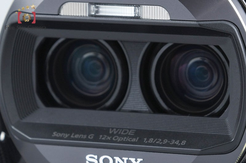 Sony Handycam HDR-TD10 Digital Video Camera [Japanese Language Only] from Japan