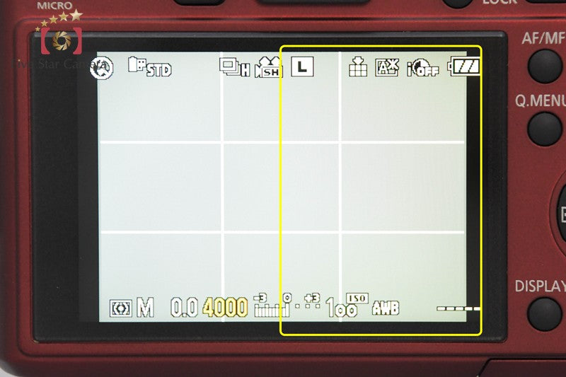 Panasonic LUMIX DMC-GF1 Red Digital Camera [Japanese Language Only] from Japan