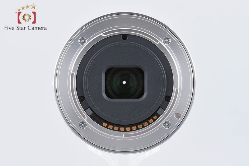SONY E 16mm f/2.8 SEL16F28 + VCL-ECU2 Ultra Wide Converter from Japan