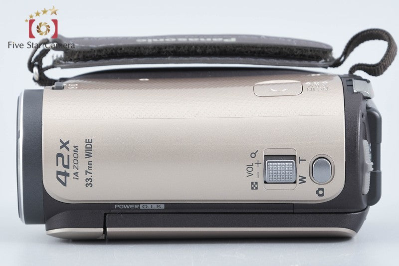 Panasonic HDC-TM45 Camel Beige Digital Hi-Vision Video Camera w/ Box from Japan
