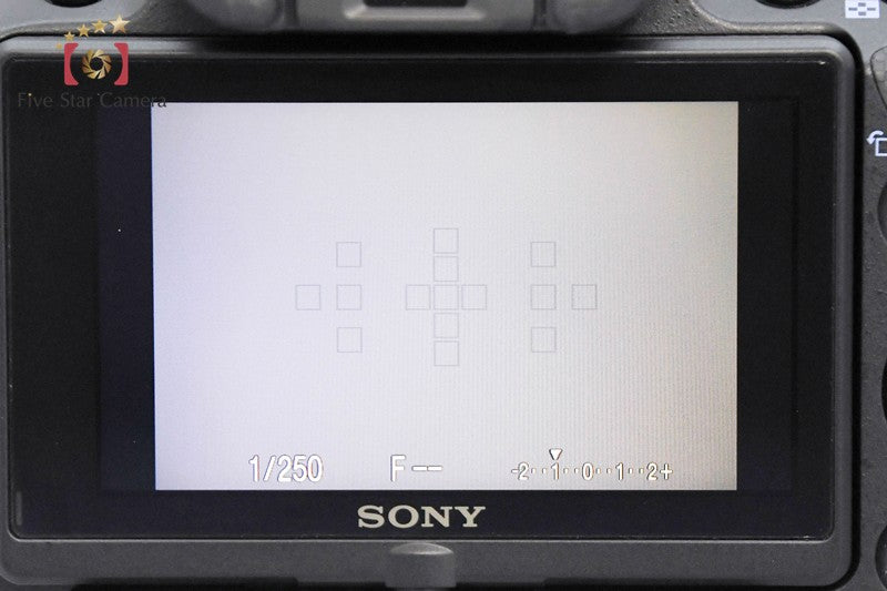 SONY α55 SLT-A55V Black 16.2 MP DSLR Camera [Japanese Language Only] from Japan