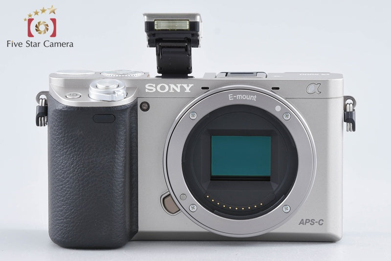 Sony Alpha α6000 ILCE-6000 Silver 16-50 Lens [Multiple Languages] from Japan