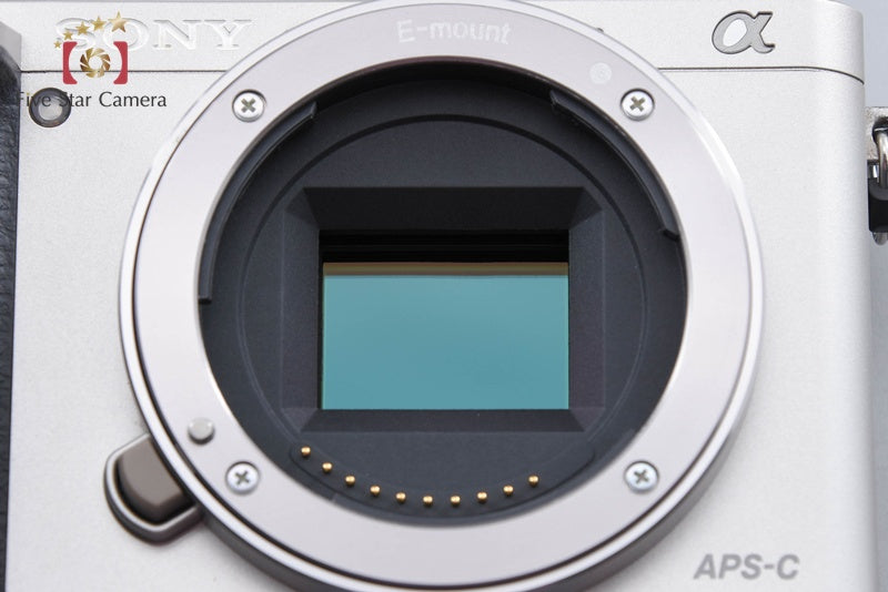 Sony Alpha α6000 ILCE-6000 Silver 16-50 Lens [Multiple Languages] from Japan
