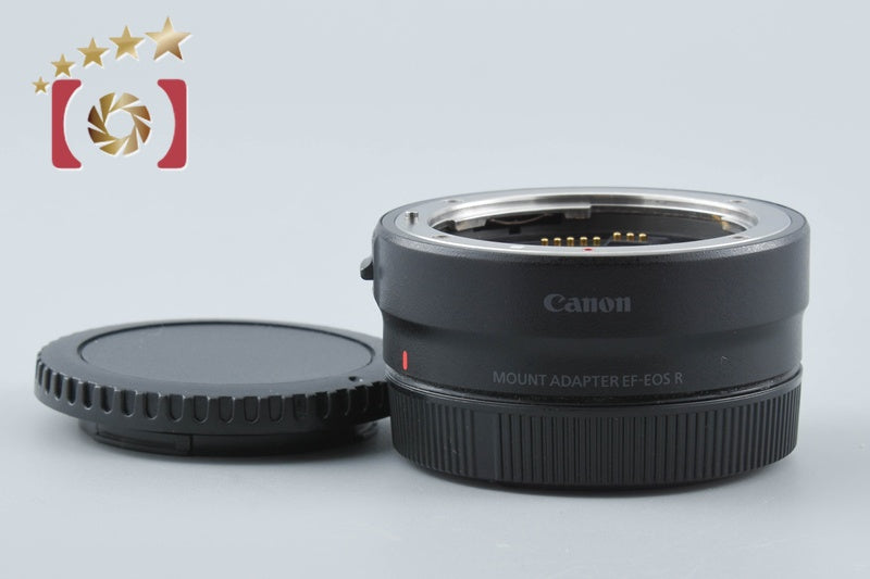 Canon Mount Adapter EF-EOS R from Japan