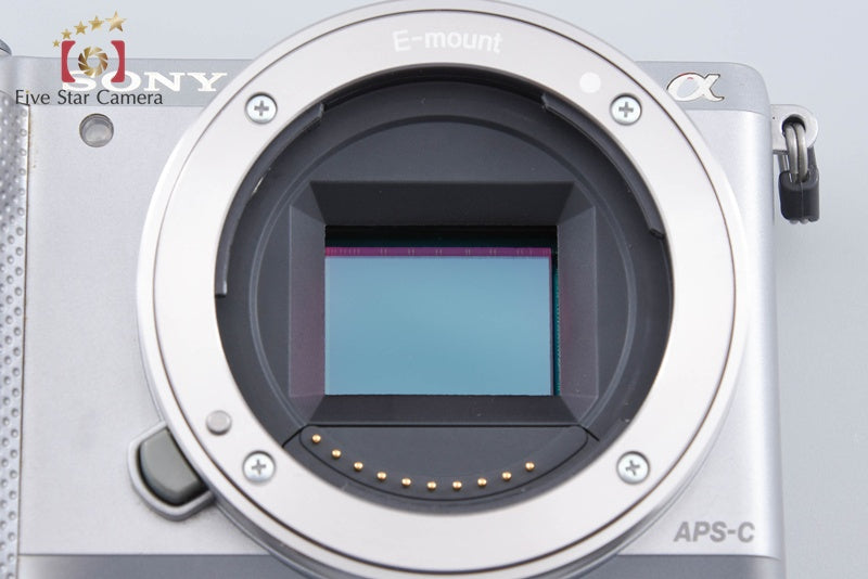 Sony α5000 ILCE-5000L Silver 20.1 MP 16-50 Lens [Multiple Languages] from Japan