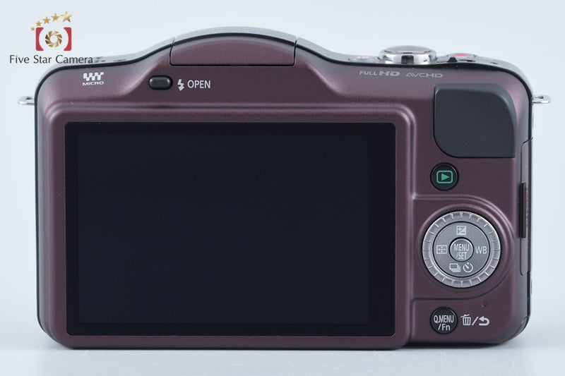 Panasonic LUMIX DMC-GF3 14 14-42 Lenses [Japanese Language Only] from Japan